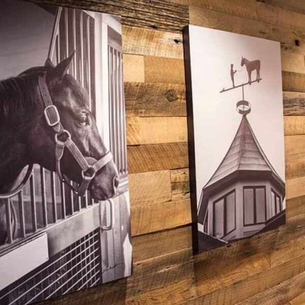 Vintage Reclaimed Barnwood Collection 4