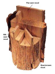 Log Cross Section Sawn View