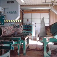 Sawyer Joe on the LT300 Sawmill