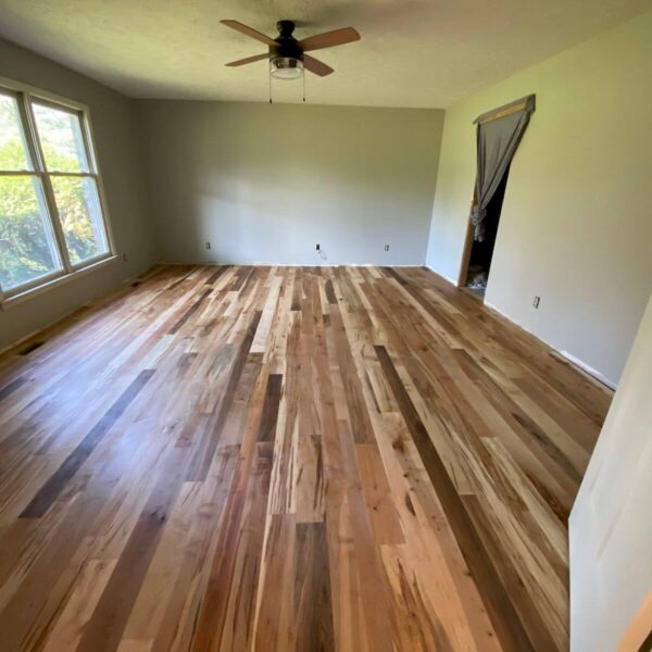 Ambrosia Wormy Maple Heartwood Collection 1